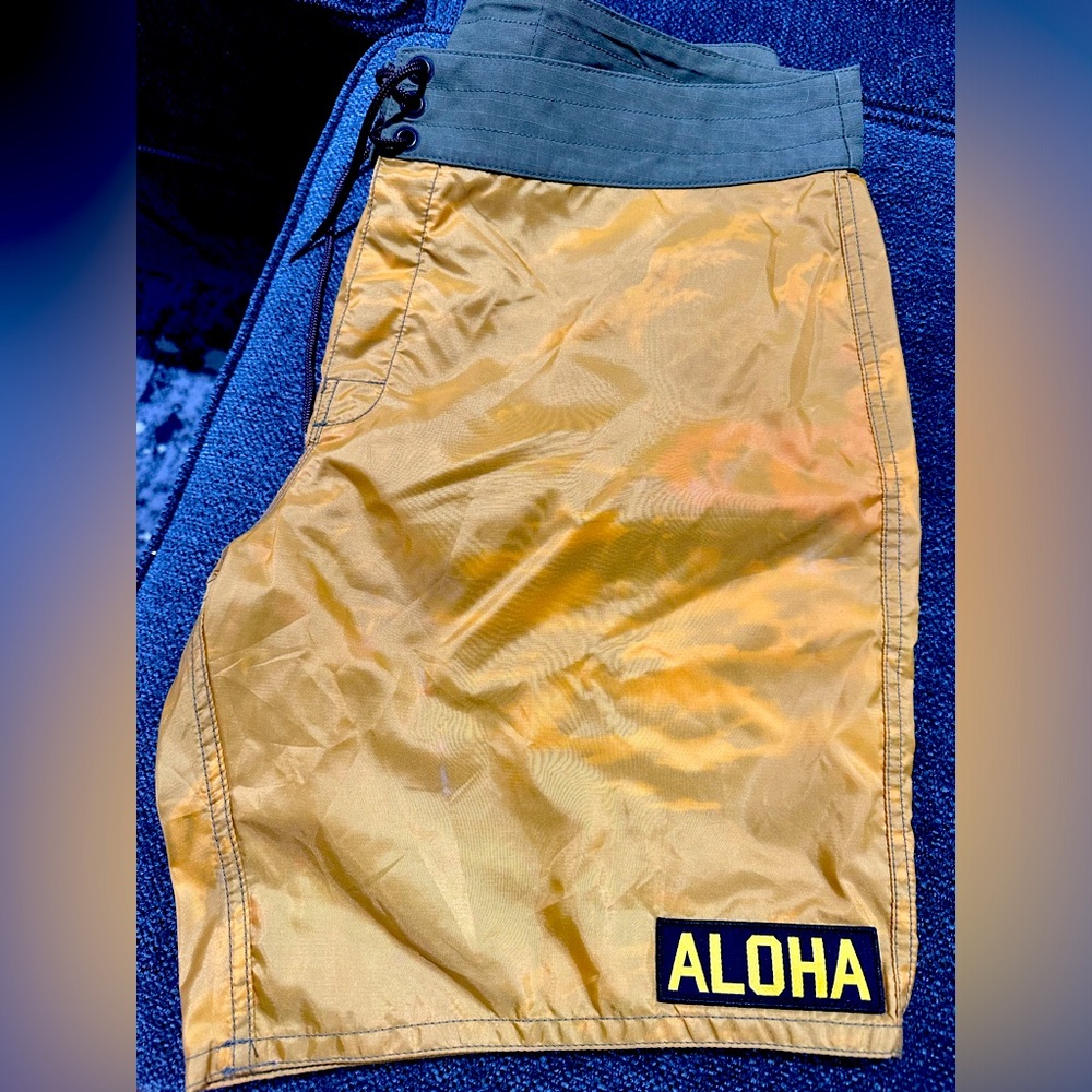 Birdwell beach britches shorts